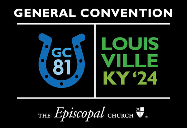 Why is General Convention Important to Everyone?