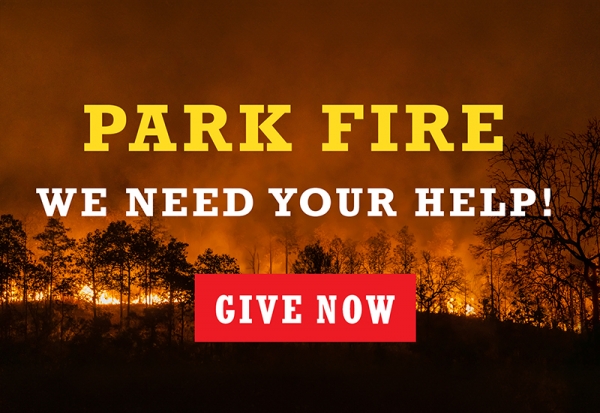 Park Fire Disaster Resilience Aid